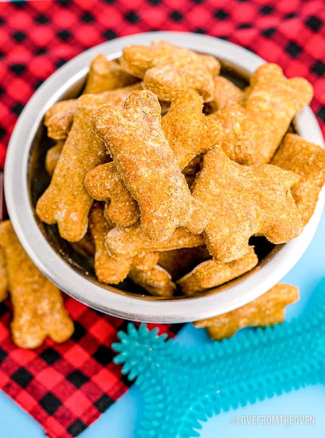Biscoitos de Abóbora para Cães