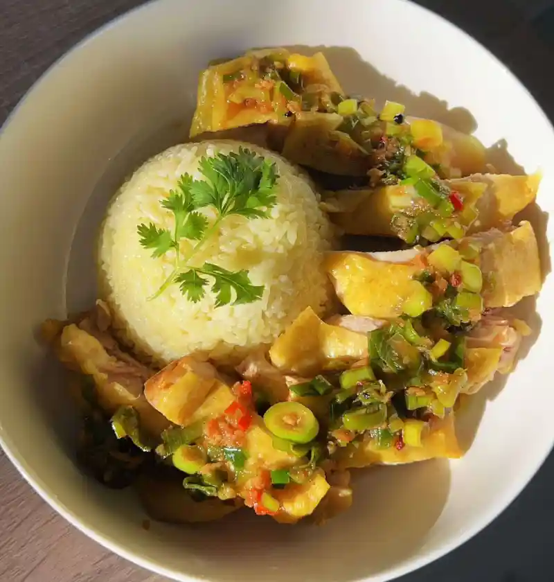 Frango ao Vapor com Legumes para Gatos